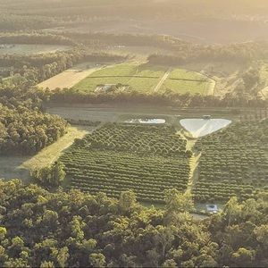 Meet your Posher, Bree